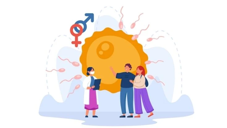 Normal Spermatozoa Count: What It Means for Male Fertility