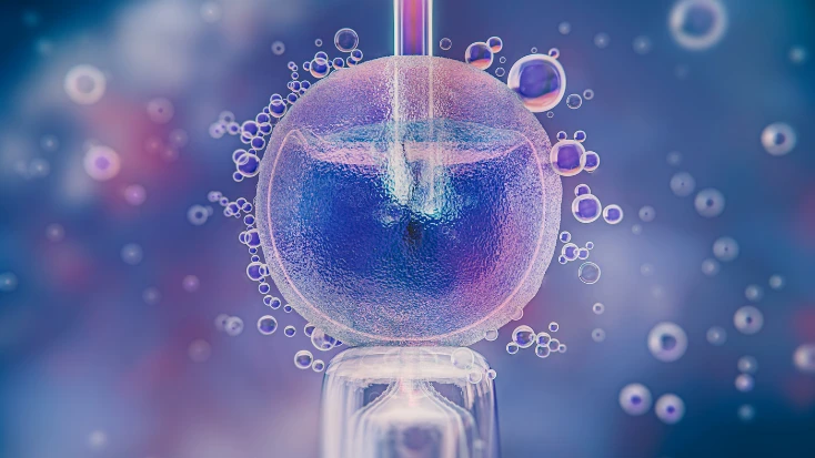 What is Egg Freezing? Process, Benefits, Cost, and Success Rates