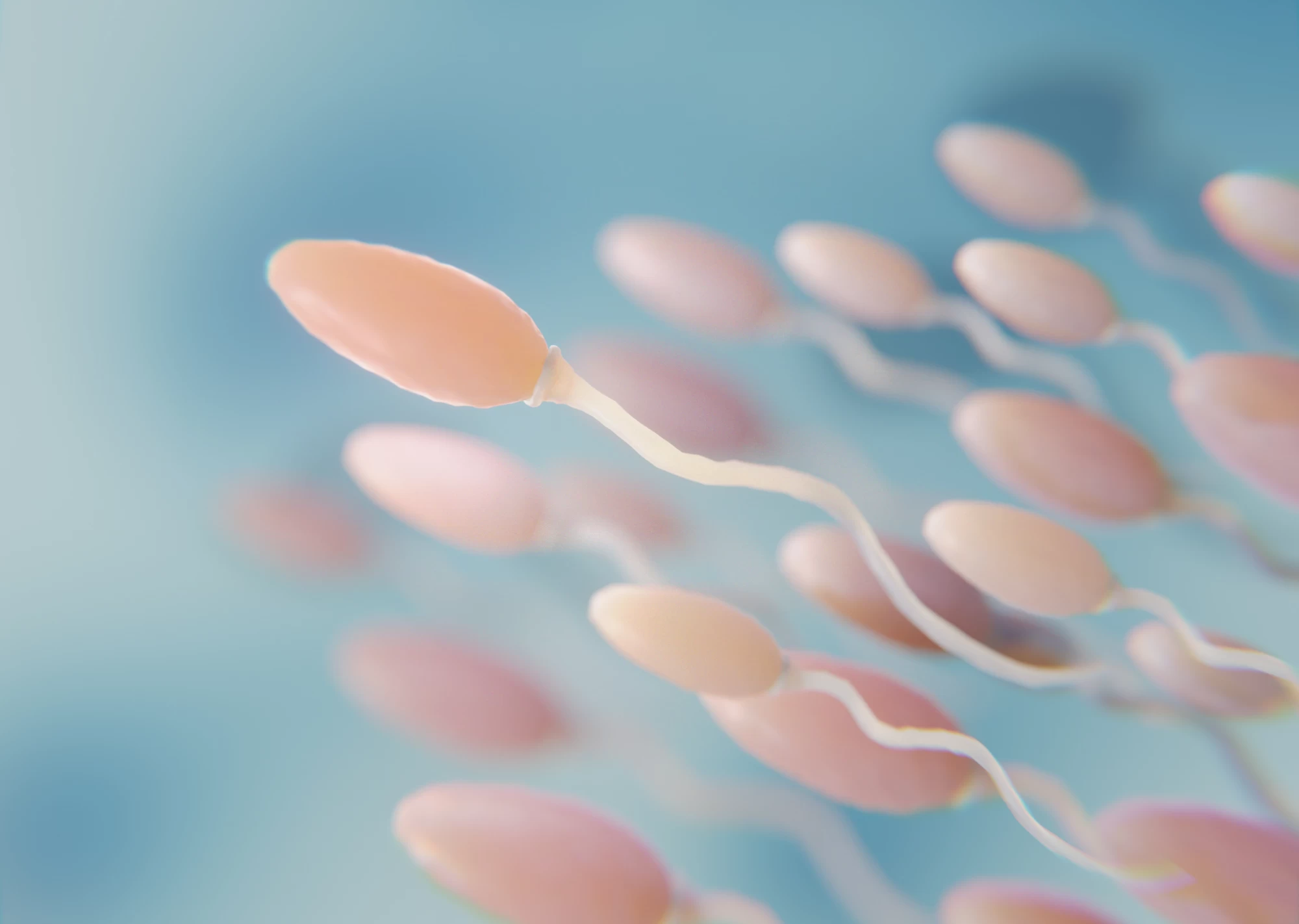 Donor Semen Insemination: Process, Safety & Success