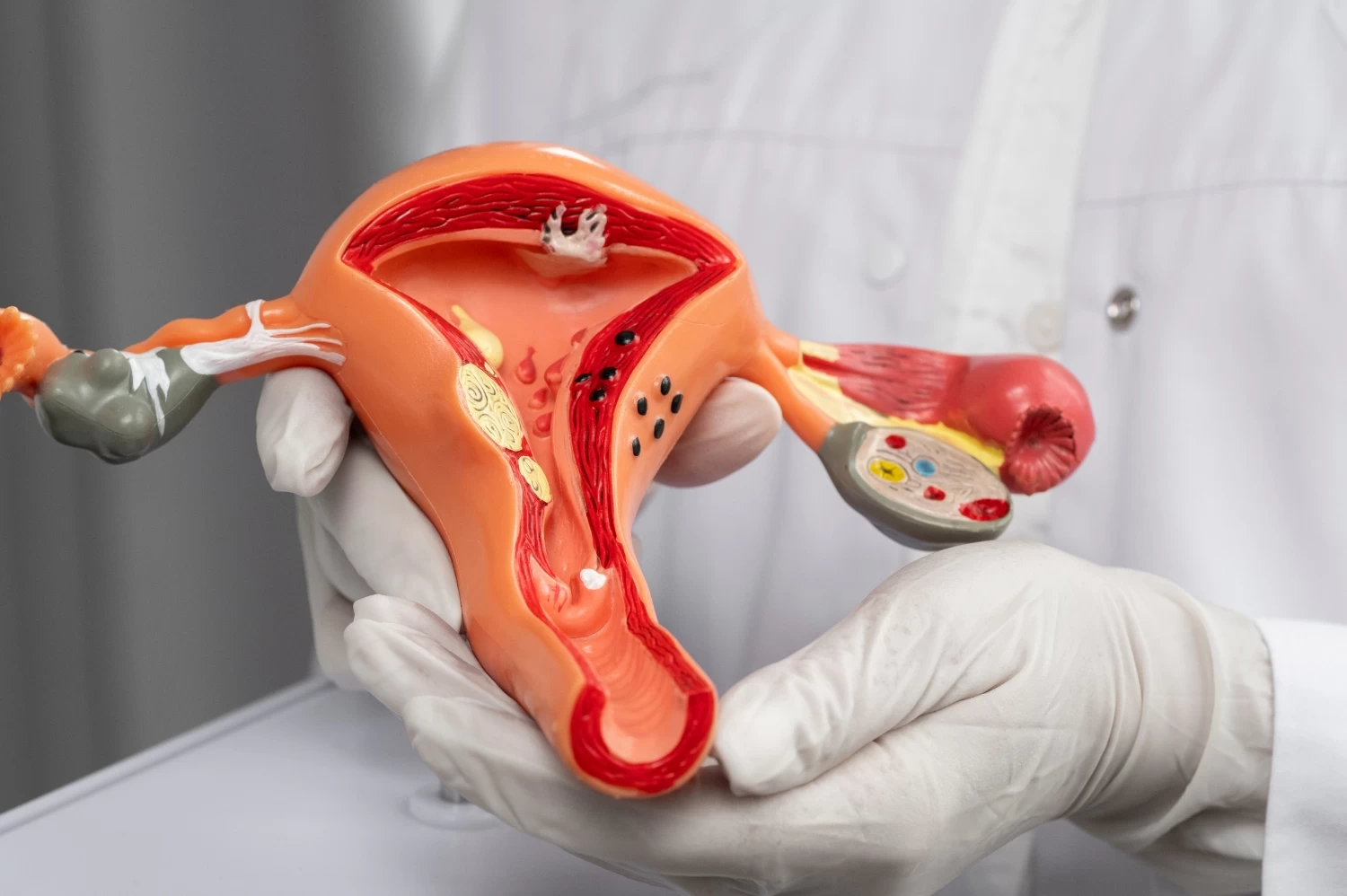 Endometrial PRP: Benefits, Success Rate & Who Needs It