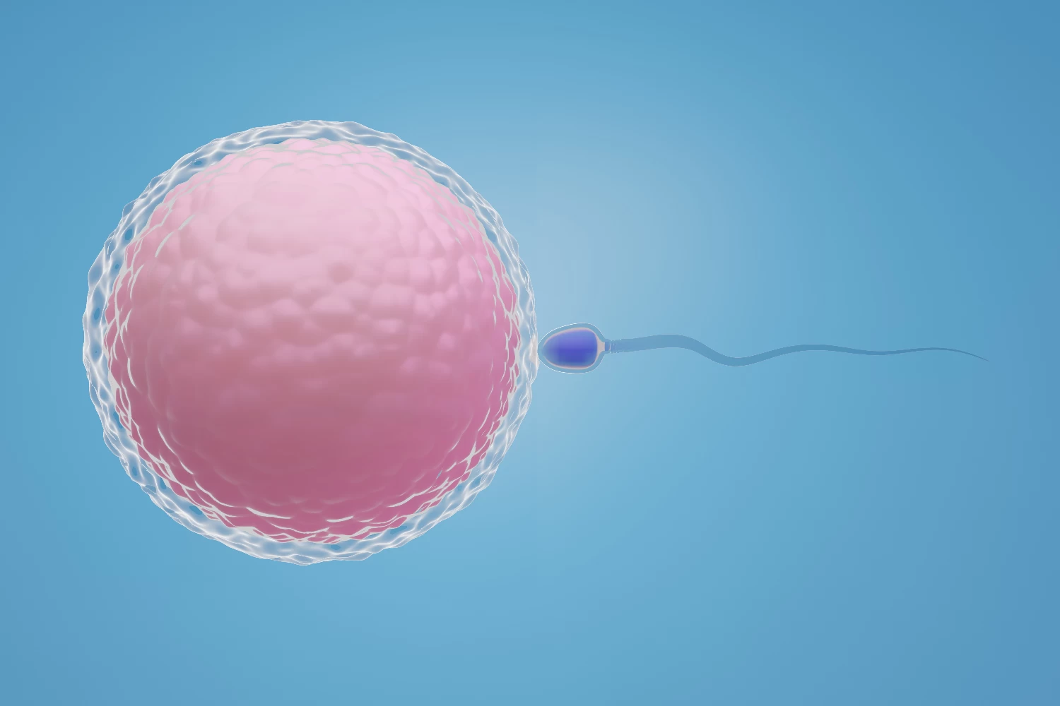 IVF (In-vitro Fertilization)