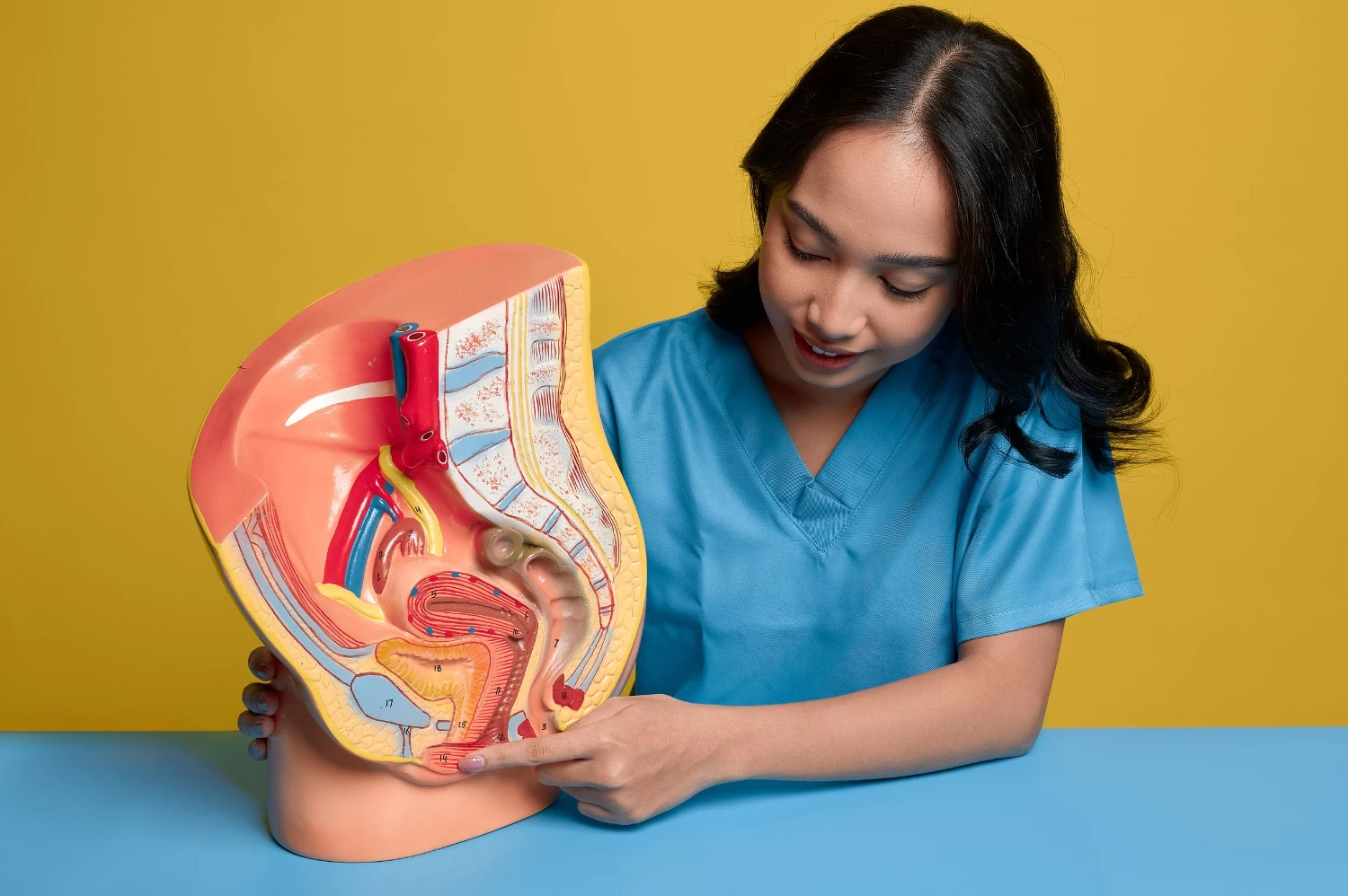 Labiaplasty: Causes, Benefits & Treatment Options