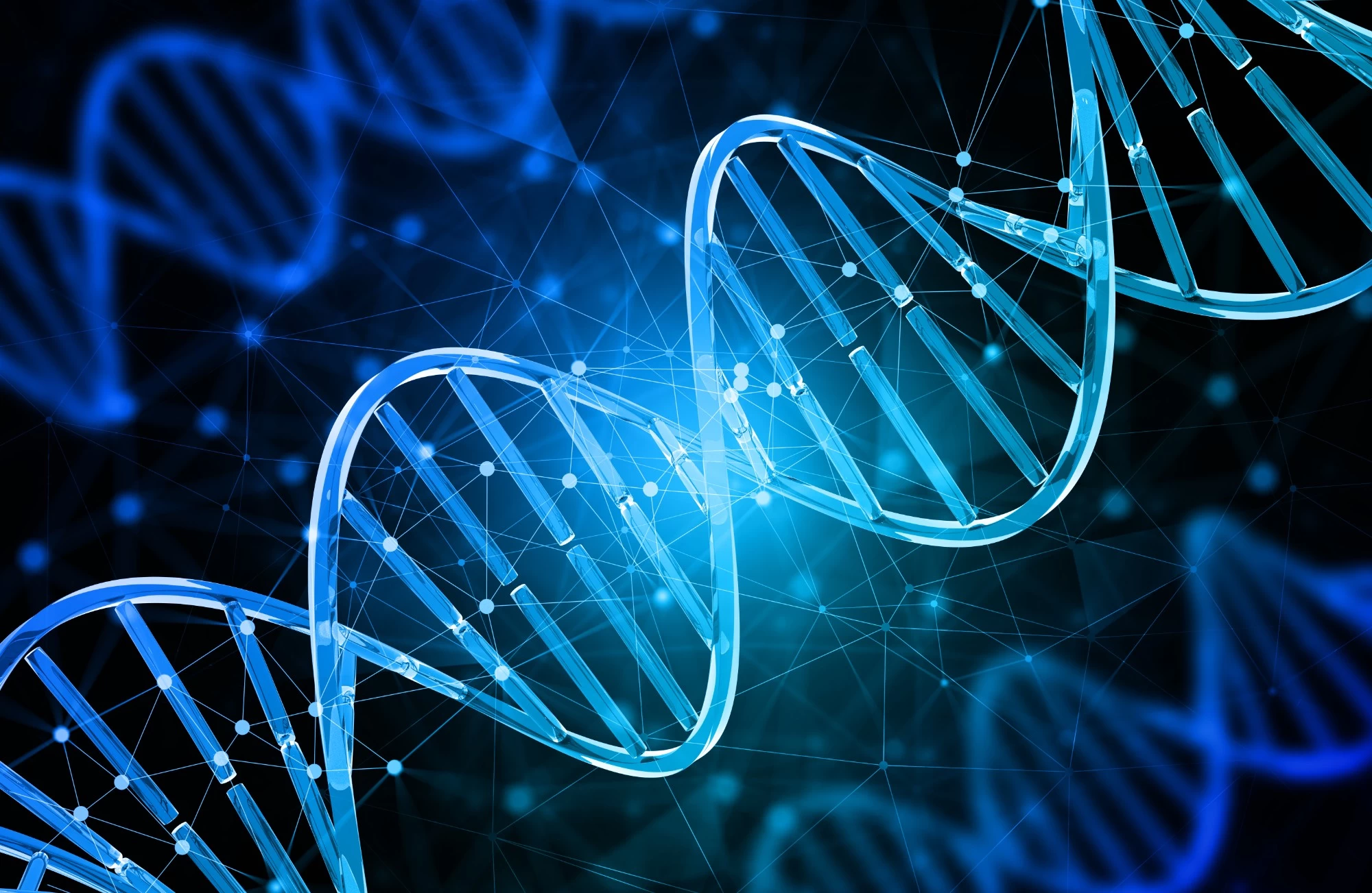 Pre-Pregnancy Genetic Evaluation