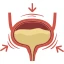 urine leakage: Causes, Leakage & Treatment