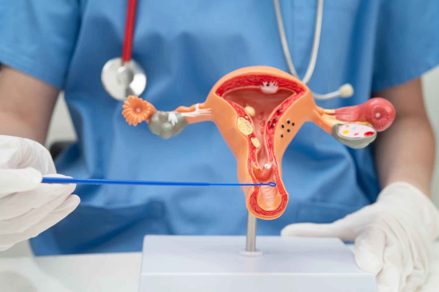 Vaginal Tightening: Why Women Choose It & How It Works